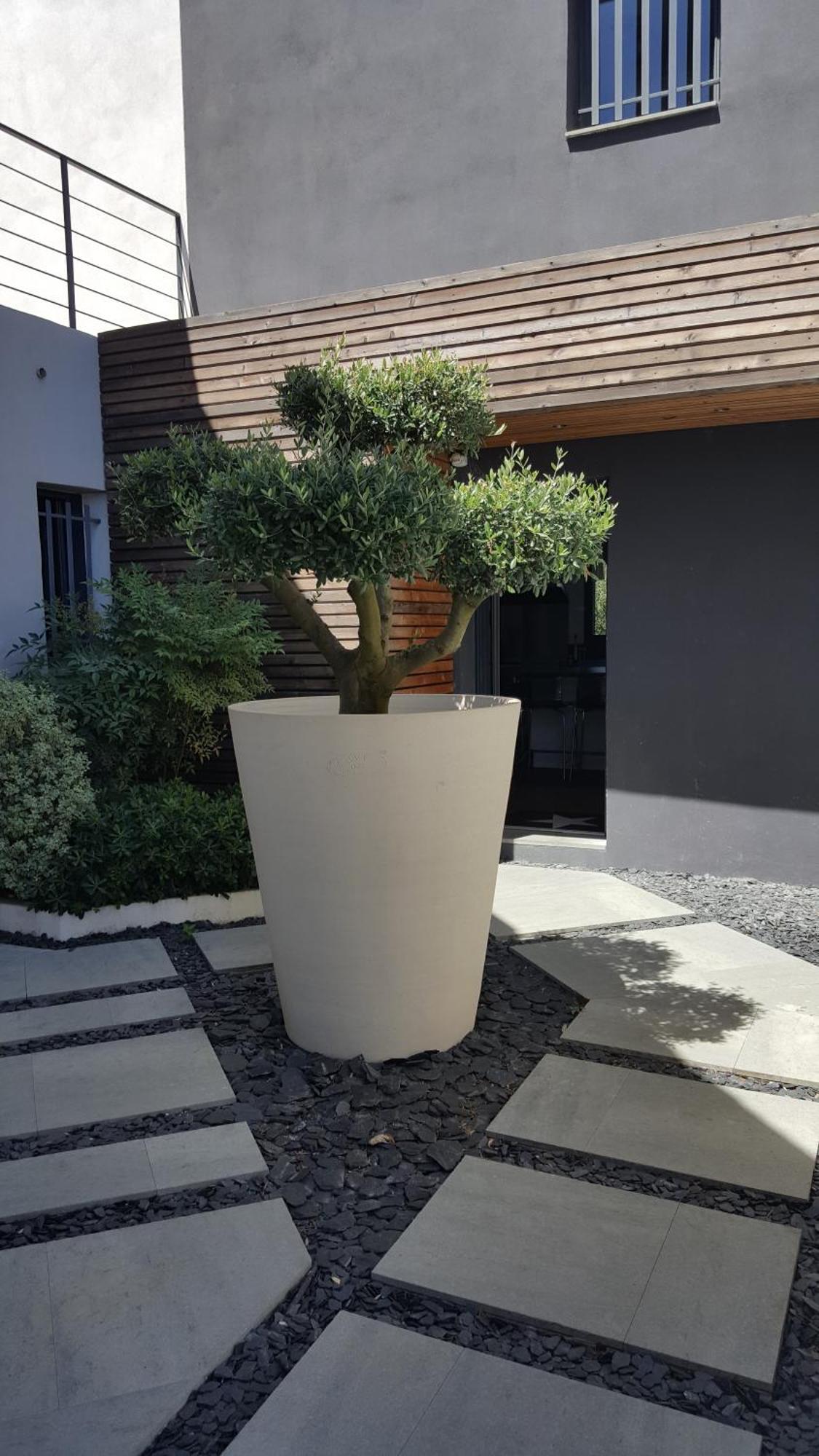 Villa Montpellier Eksteriør bilde